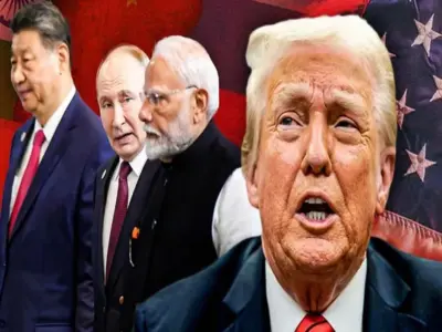 9fe1510d-084c-4d14-b592-eac4dd875807_800x600