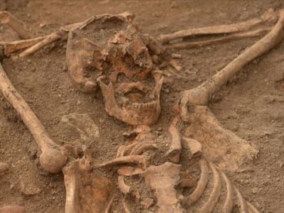 thumbs_b_c_c5f0798743c3c0fe94fc5922162b3cab