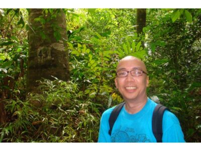 Visted in 2013 to find tree 436 still there.