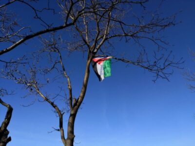 albero con bandiera palestinese